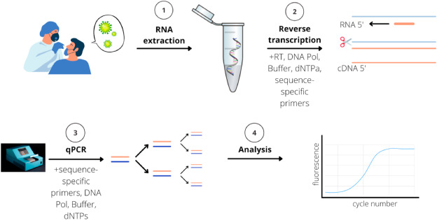 PCR workflow