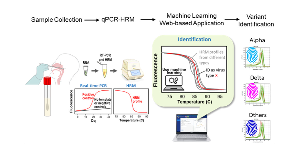 RT-PCR and HRM