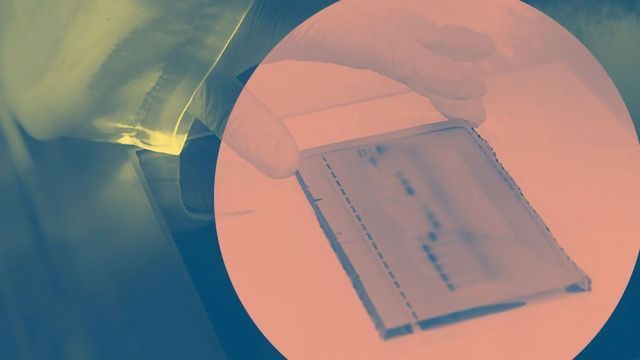 PCR Advanced PCR Analyzers